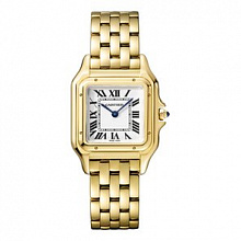 Panthere de Cartier WGPN0009 1126