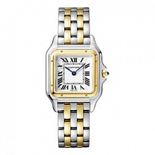 Panthere de Cartier W2PN0007 1125